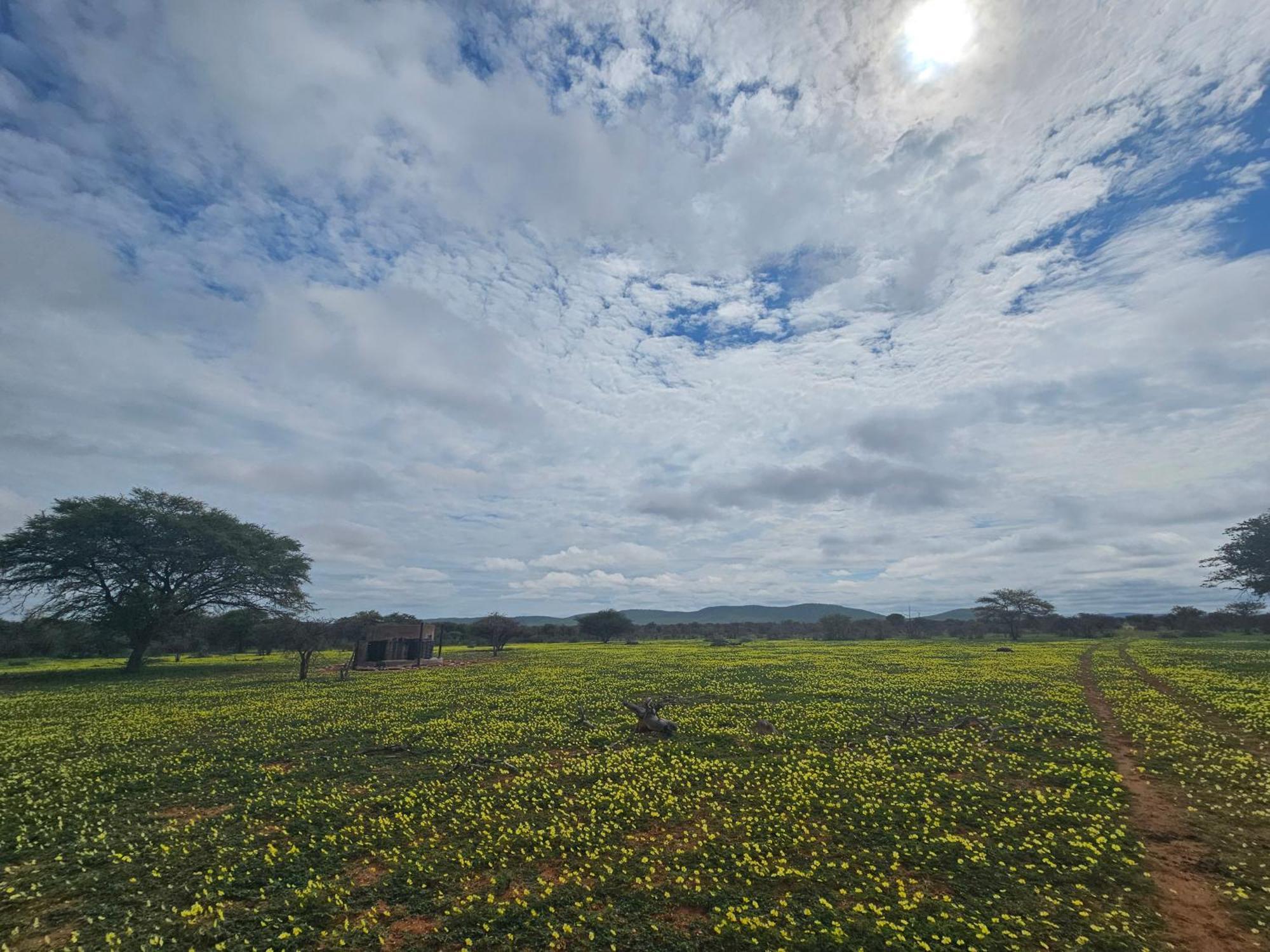 Kaoko Bush Lodge Kamanjab 외부 사진