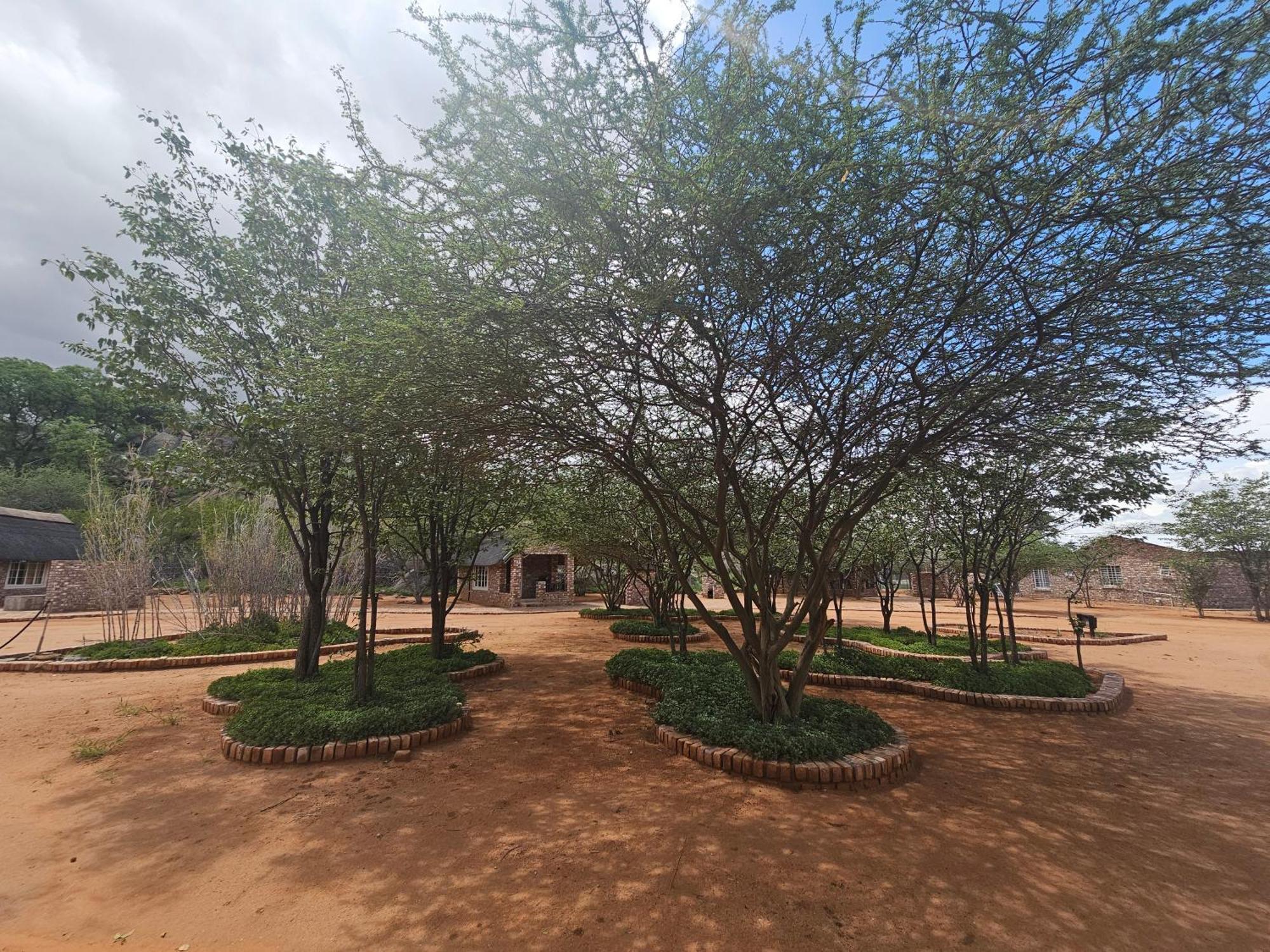 Kaoko Bush Lodge Kamanjab 외부 사진
